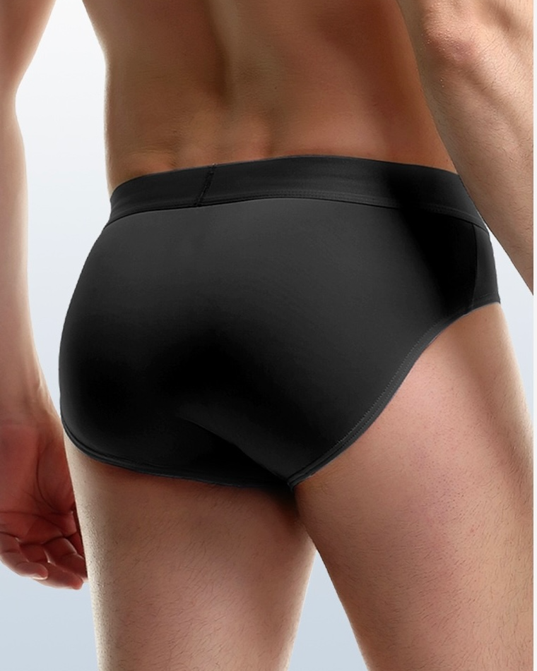 Ice Silk Triangle Brief- 2 Packs