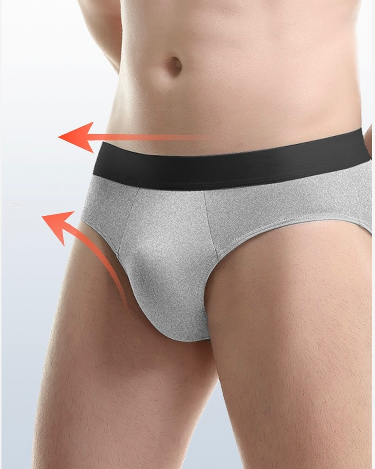 Ice Silk Triangle Brief- 2 Packs