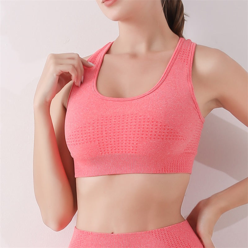 Wireless High Stretch Push-Up Sport Bra