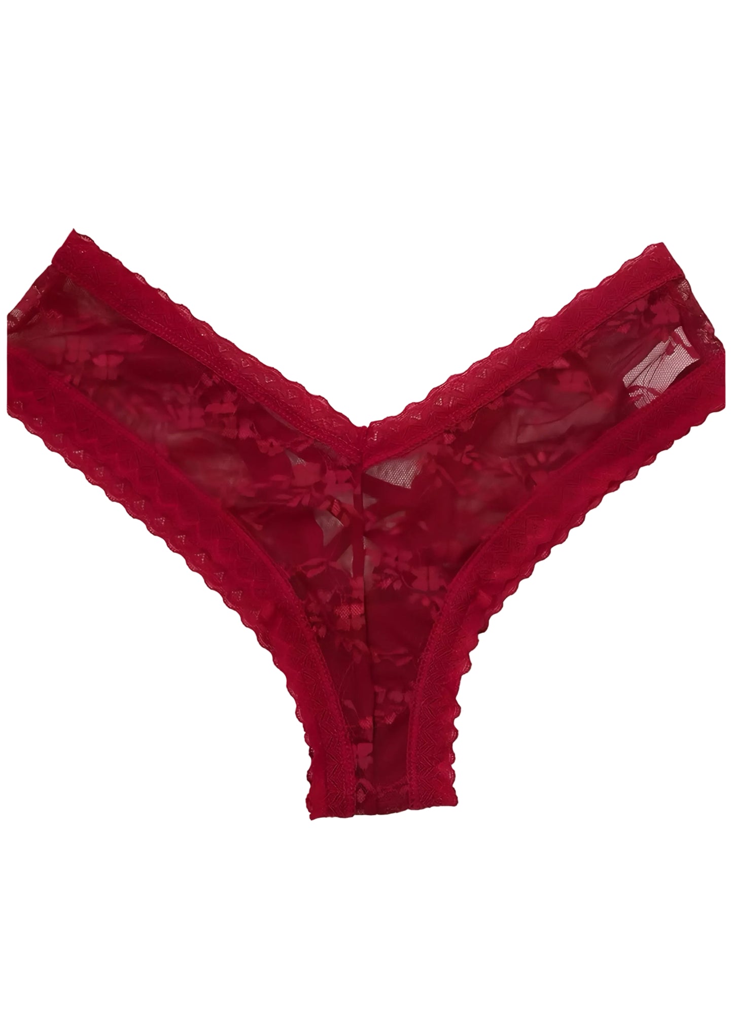 Sheer Floral Lace Underwear