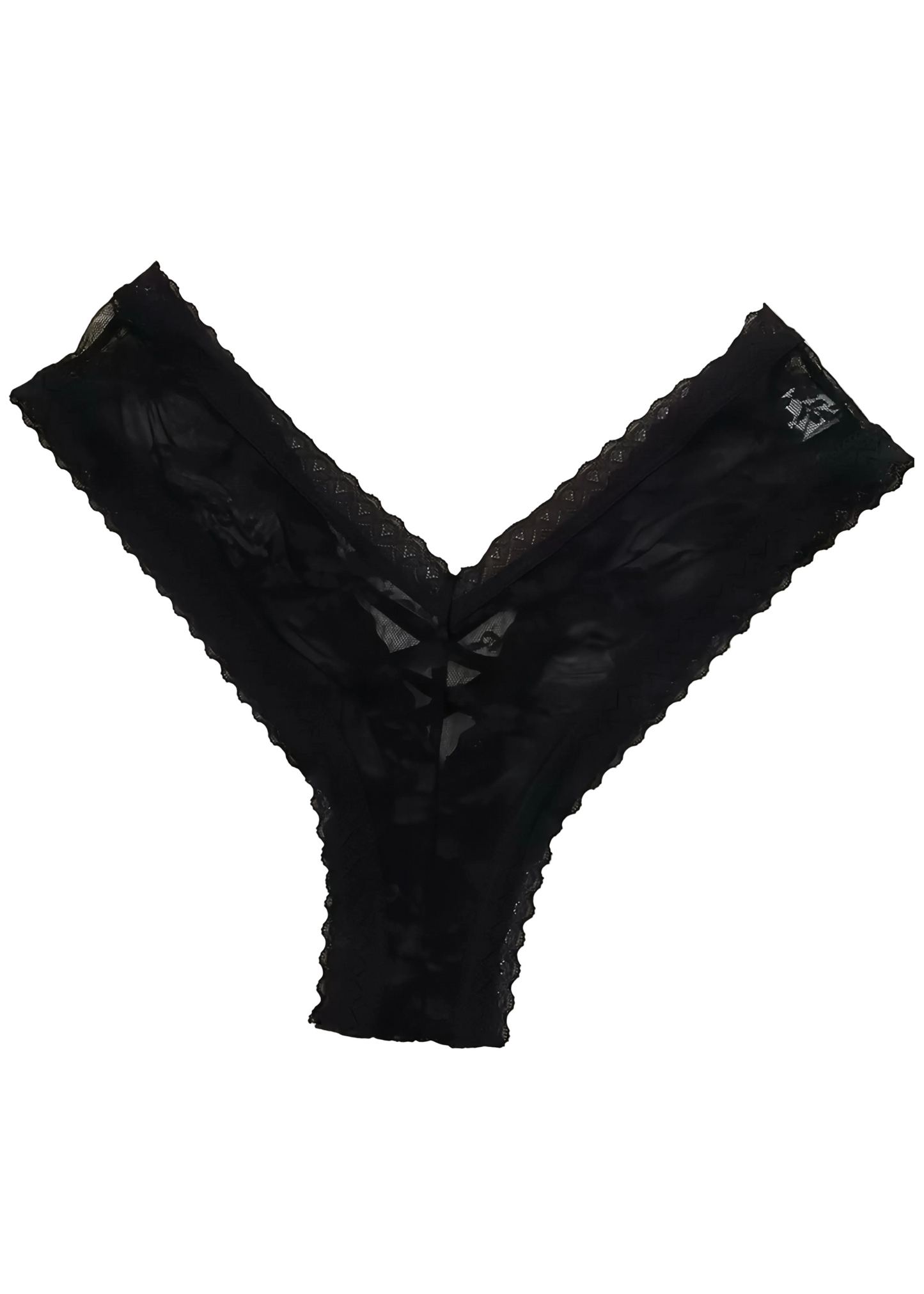 Sheer Floral Lace Underwear